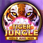 Chơi game slot Johnplantmusic trên điện thoại di động